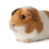 Guinea Pig Delivery All over Maharashtra