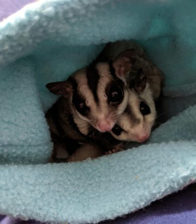 pexels-tabithaf-7173566